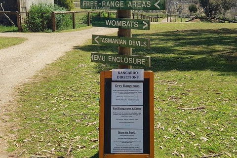 Phillip Island Penguin And Wildlife Tour - Accommodation Sunshine Coast 4