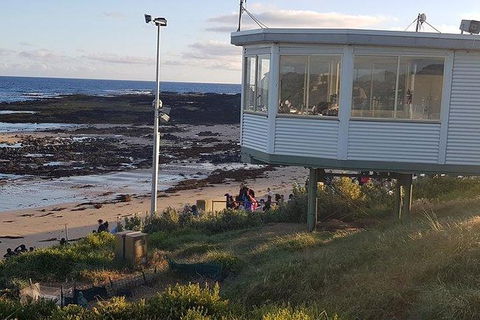 Phillip Island Penguin And Wildlife Tour - Accommodation Sunshine Coast 33