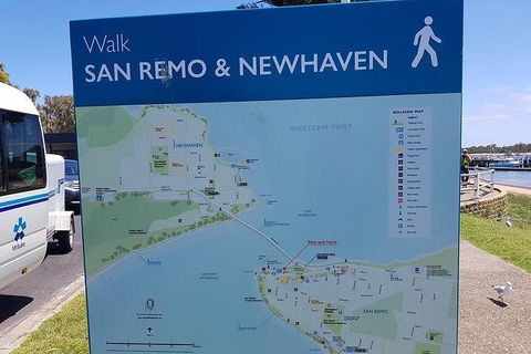 Phillip Island Penguin And Wildlife Tour - Accommodation Sunshine Coast 35