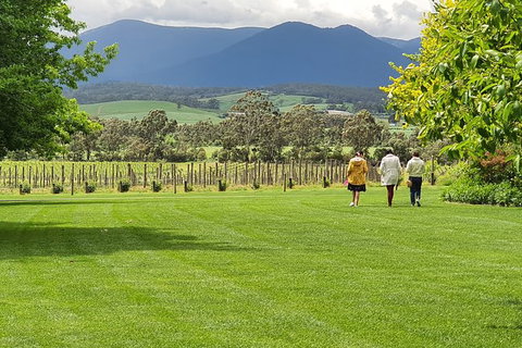 Yarra Valley Wine Tasting Day Tour From Melbourne - Accommodation Sunshine Coast 6