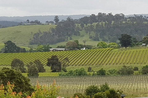 Yarra Valley Wine Tasting Day Tour From Melbourne - Accommodation Sunshine Coast 0