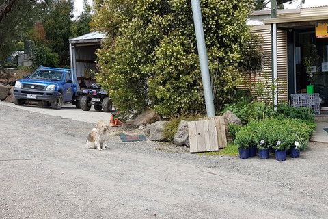 Yarra Valley Wineries And Rayners Orchard Tour From Melbourne - Accommodation Sunshine Coast 8