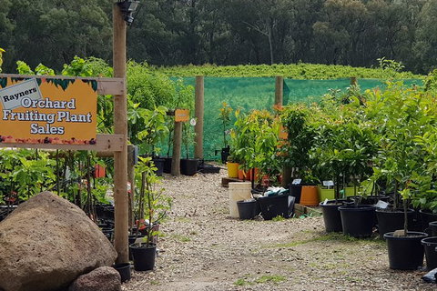 Yarra Valley Wineries And Rayners Orchard Tour From Melbourne - Accommodation Sunshine Coast 0