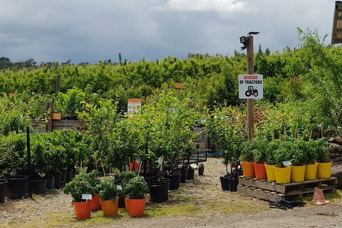 Yarra Valley Wineries And Rayners Orchard Tour From Melbourne - Accommodation Sunshine Coast 22