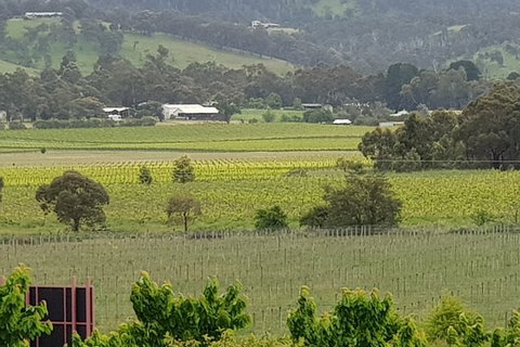 Yarra Valley Wineries And Rayners Orchard Tour From Melbourne - Accommodation Sunshine Coast 2