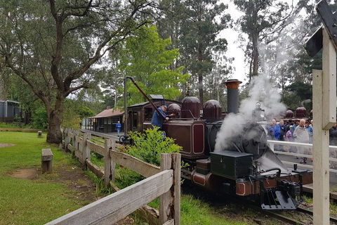 Day Tour Of Yarra Valley Puffing Billy And Rayners Orchard - Accommodation Sunshine Coast 14