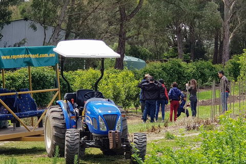 Day Tour Of Yarra Valley Puffing Billy And Rayners Orchard - Accommodation Sunshine Coast 10