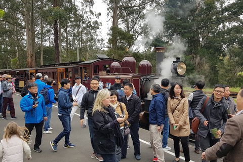 Day Tour Of Yarra Valley Puffing Billy And Rayners Orchard - Accommodation Sunshine Coast 18