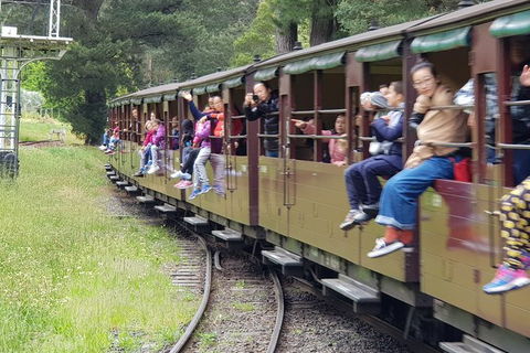 Day Tour Of Yarra Valley Puffing Billy And Rayners Orchard - Accommodation Sunshine Coast 13