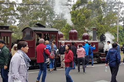 Day Tour Of Yarra Valley Puffing Billy And Rayners Orchard - Accommodation Sunshine Coast 4