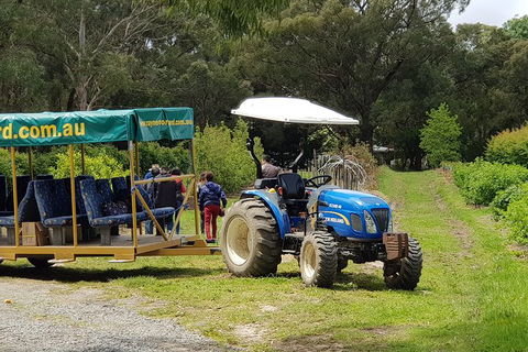 Day Tour Of Yarra Valley Puffing Billy And Rayners Orchard - Accommodation Sunshine Coast 25