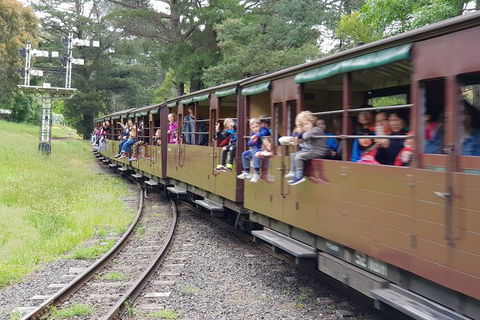 Day Tour Of Yarra Valley Puffing Billy And Rayners Orchard - Accommodation Sunshine Coast 24