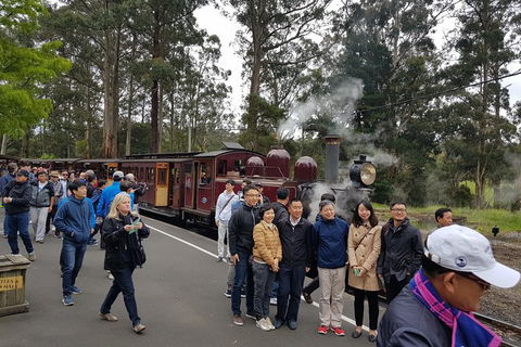 Day Tour Of Yarra Valley Puffing Billy And Rayners Orchard - Accommodation Sunshine Coast 9