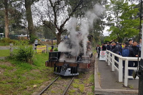 Day Tour Of Yarra Valley Puffing Billy And Rayners Orchard - Accommodation Sunshine Coast 43