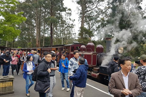 Day Tour Of Yarra Valley Puffing Billy And Rayners Orchard - Accommodation Sunshine Coast 12