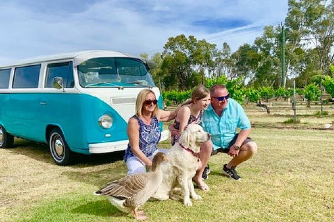 Half Day VW Kombi Food And Wine Tour - Accommodation Sunshine Coast 0