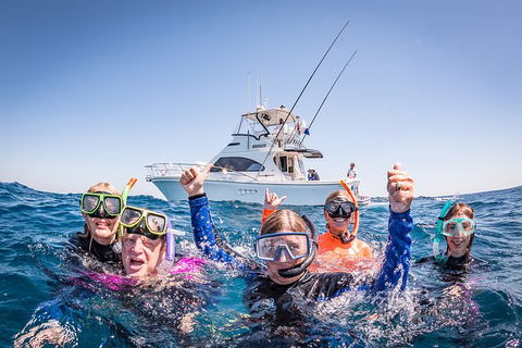 Life On Ningaloo Swimming Tour In Exmouth - Accommodation Sunshine Coast 4