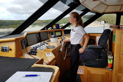 Full-Day Killer Whale Expedition From Albany - Accommodation Sunshine Coast 4