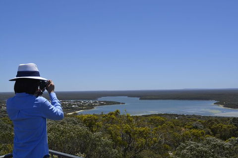 Full-Day Killer Whale Expedition From Albany - Accommodation Sunshine Coast 5