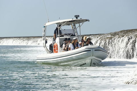 Cygnet Bay Explorer - Accommodation Sunshine Coast 8