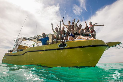 Ningaloo Immersion Private Charter - Accommodation Sunshine Coast 9