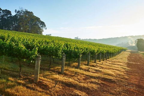 Botanical Gardens, Winery And Scenic Full Day Tour - Accommodation Sunshine Coast 2