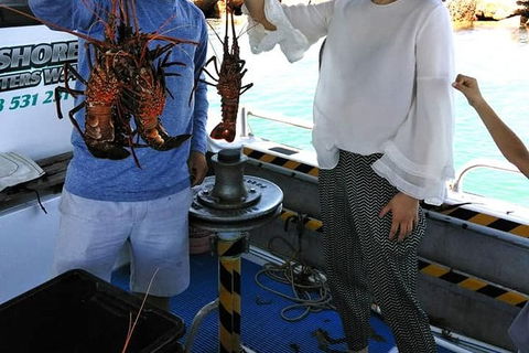 Lobster Fishing Tour At Geraldton - Accommodation Sunshine Coast 1