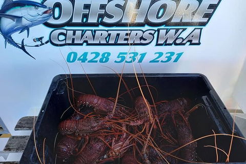 Lobster Fishing Tour At Geraldton - Accommodation Sunshine Coast 0