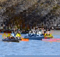 Private Guided River Kayak Tour - Accommodation Sunshine Coast