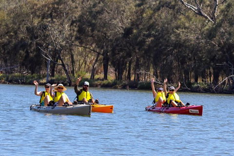 Private Guided River Kayak Tour - Accommodation Sunshine Coast 0