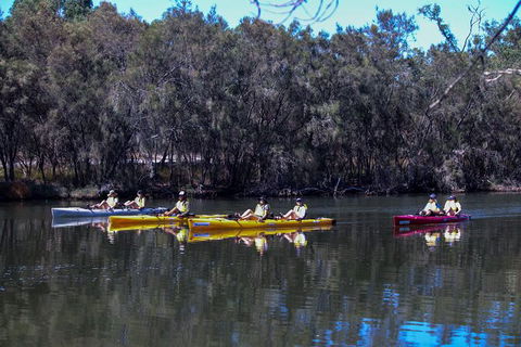 Private Guided River Kayak Tour - Accommodation Sunshine Coast 5