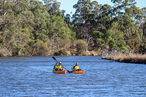 Private Guided River Kayak Tour - Accommodation Sunshine Coast 7
