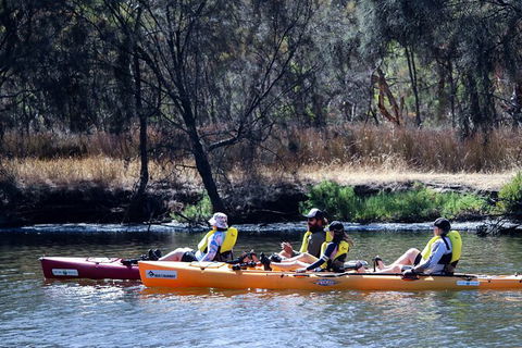 Private Guided River Kayak Tour - Accommodation Sunshine Coast 3