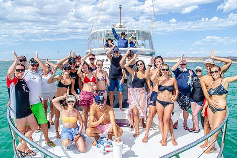 Full-Day Whale Sharks Swimming Experience On Ningaloo Reef - Accommodation Sunshine Coast 1