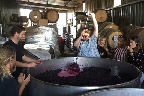 Margaret River Beer & Wine Adventure (departs Margaret River) - Accommodation Sunshine Coast 10