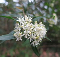 Booderee National Park - Accommodation Sunshine Coast