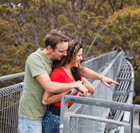 Valley of the Giants Tree Top Walk - Accommodation Sunshine Coast