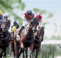 Colac Turf Club - Accommodation Sunshine Coast