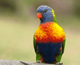 Booderee National Park - Accommodation Sunshine Coast 1