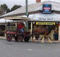 Bathurst Farm Experience - Accommodation Sunshine Coast