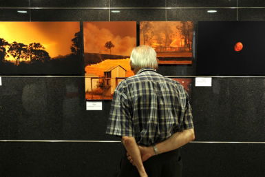 WTC Wharf Gallery - Accommodation Sunshine Coast 0