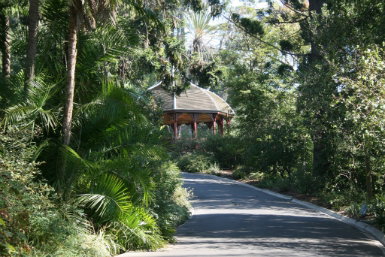Royal Botanic Gardens Victoria - Accommodation Sunshine Coast 0