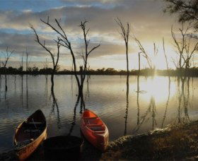 Boshack Outback - Accommodation Sunshine Coast 0