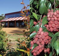 Bushfood Factory and Cafe - Accommodation Sunshine Coast