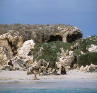 Jurien Bay Marine Park - Accommodation Sunshine Coast
