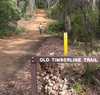 Old Timberline and Sidings Rail Trails - Accommodation Sunshine Coast