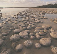 Lake Clifton Thrombolites - Accommodation Sunshine Coast