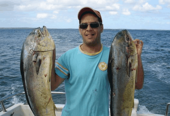 Jervis Bay Fishing and Charters - Accommodation Sunshine Coast