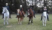 Valhalla Horse Riding - Accommodation Sunshine Coast 1