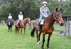Valhalla Horse Riding - Accommodation Sunshine Coast 2